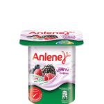 ANLENE LOW FAT YOGURT M/BERRIES 110G