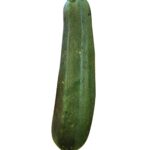 LOCAL GREEN ZUCCHINI (+/-500G)