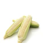 CAMERON WHITE SWEET CORN PC