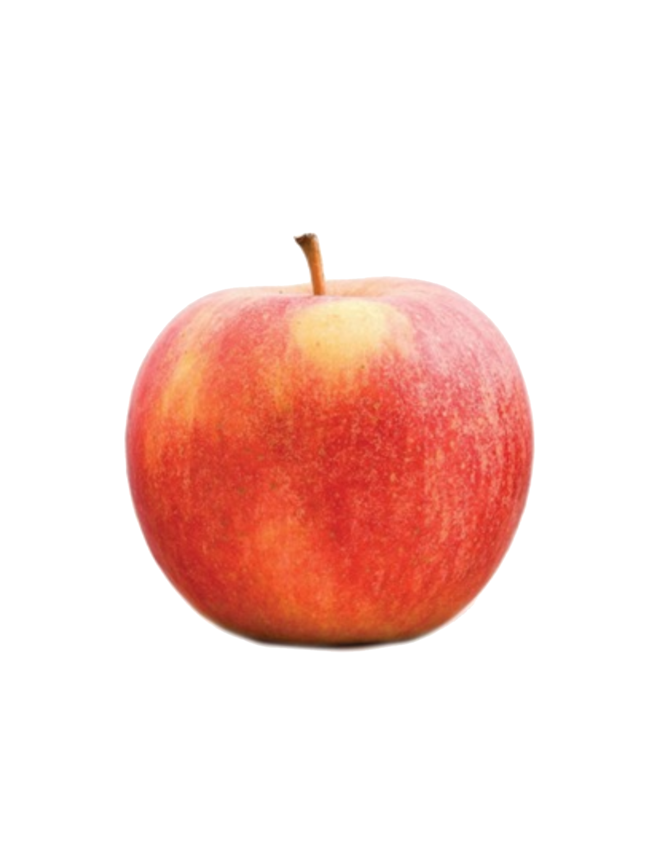 SA HONEY FUJI APPLE 6PCS